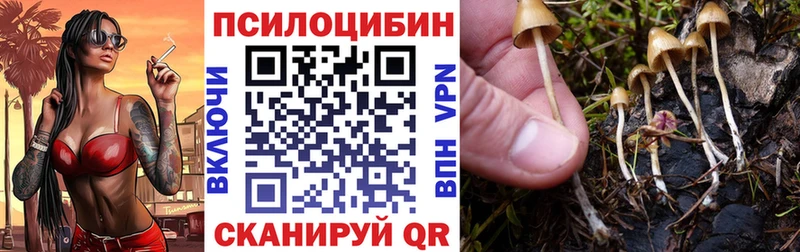 что такое наркотик Родники Псилоцибиновые грибы Psilocybe