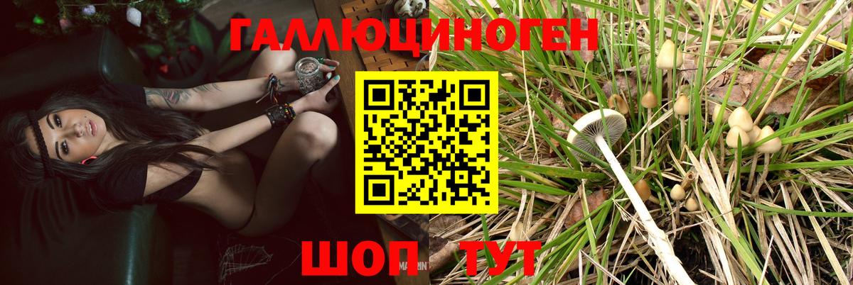 Галлюциногенные грибы Magic Shrooms  Вход с VPN  Галлюциногенные грибы мухоморы  Родники 