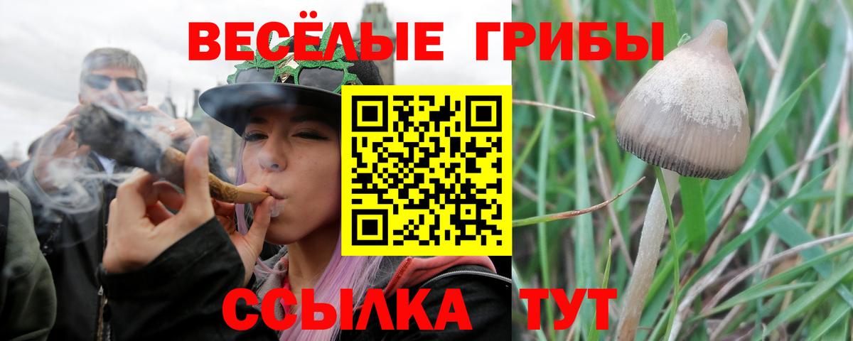 Псилоцибиновые грибы прущие грибы Родники