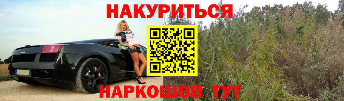 Каннабис индика Родники